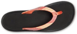 Olukai Kulapa Kai Women's -Chaussures olukai kulapa kai women s fusion coral kapa stripe 8