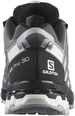 Salomon XA PRO 3D V8 GTX -Chaussures salomon xa pro 3d v8 gtx magnet stormy weather white 18
