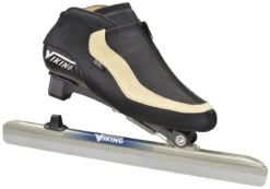 Viking Silver II Icon